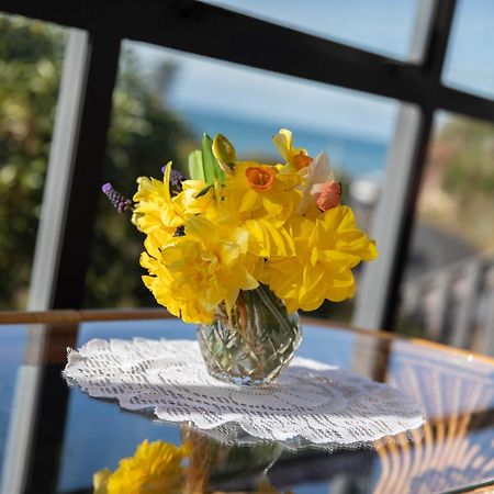 Petra Seaside Apartment 더니든 외부 사진