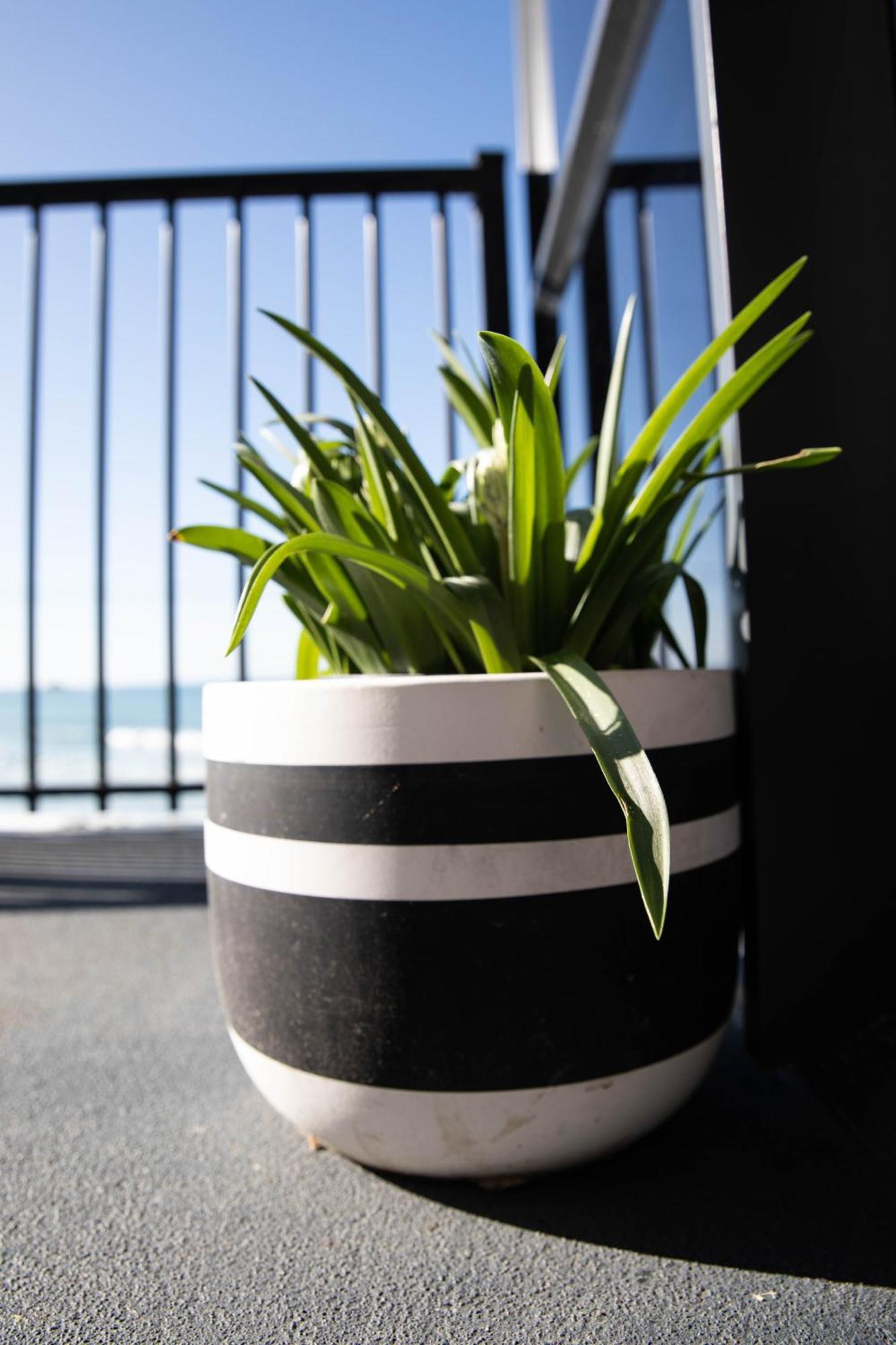 Petra Seaside Apartment 더니든 외부 사진